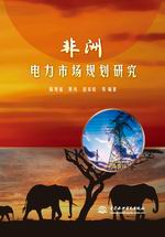 非洲电力市场规划研究