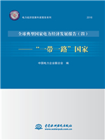 《电力经济发展年度报告系列·全球典型