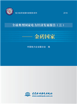 电力经济发展年度报告系列·全球典型国