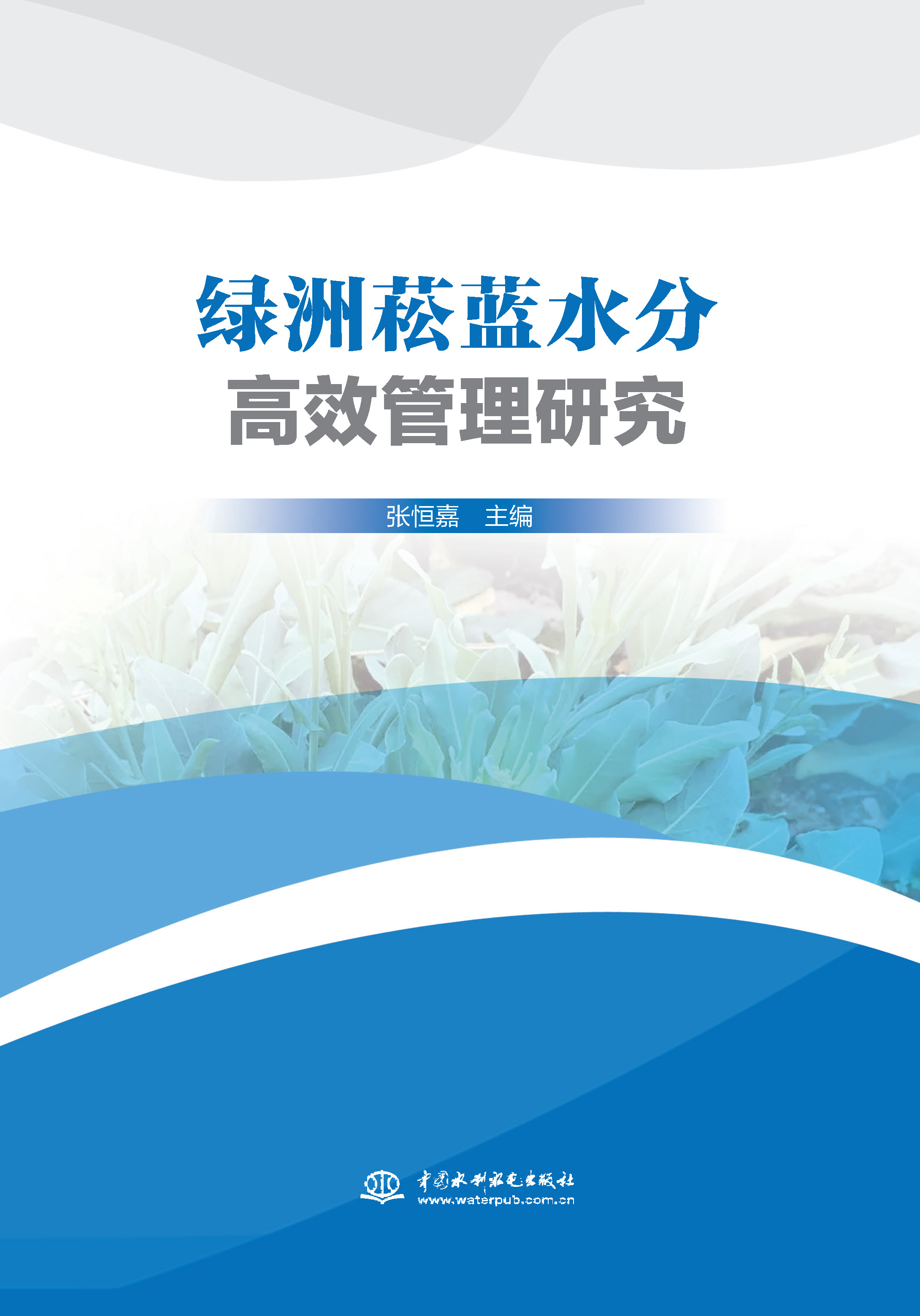 <b>绿洲菘蓝水分高效管理研究</b>